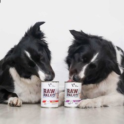 Raw Paleo Adult Dog Beef - mokra karma dla psów dorosłych - wołowina