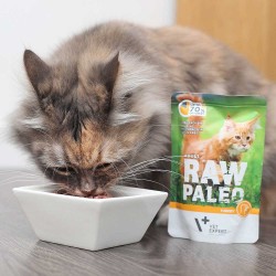 RAW PALEO karma mokra dla kotów dorosłych - indyk