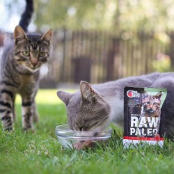 RAW PALEO Sterilised karma mokra dla kotów - wołowina