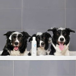 BEAUTY & CARE SHAMPOO - dermokosmetyczny szampon dla psów i kotów