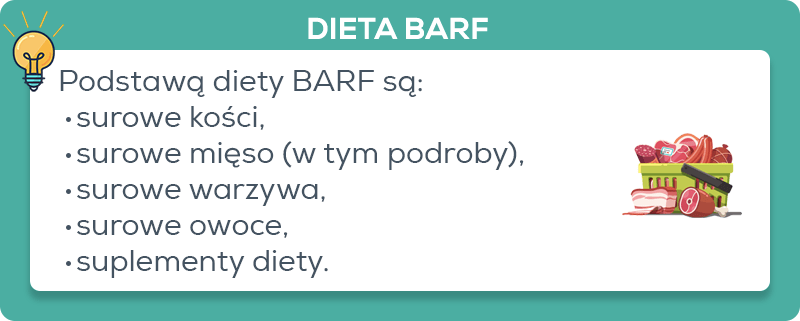 podstawy diety barf