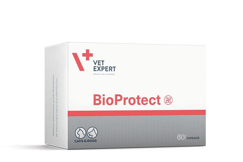 VET EXPERT BIOPROTECT - probiotyk dla psów i kotów